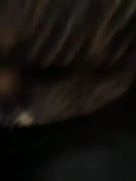 caramello-48888 online show from 04/07/26, 05:24