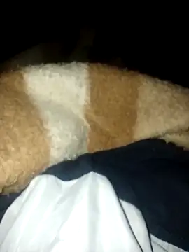 Azo3zgju online show from 11/23/25, 02:33