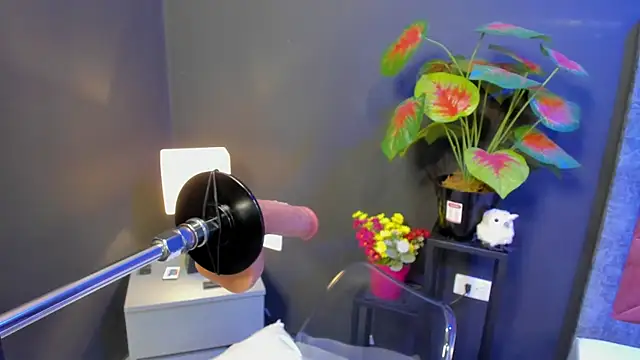 Amy whittee online show from 04/12/26, 03:44