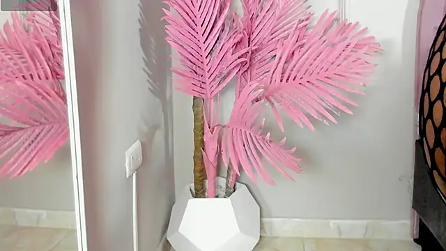 Tamaramilleer online show from 02/02/26, 03:49