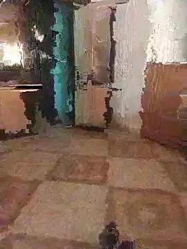 7obi 7obi online show from 11/21/25, 02:38