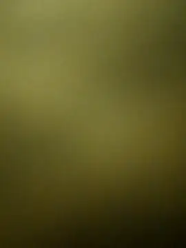 crazy boy55 online show from 12/15/25, 05:28