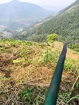 Lynly k2 online show from 04/08/26, 07:19