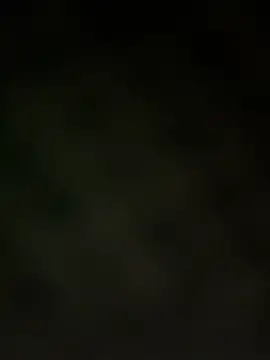 trickydickydaddy online show from 03/13/26, 07:59