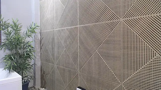 Noah dupont  online show from 11/20/25, 11:54