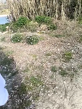 marchigiana online show from 02/26/26, 09:19