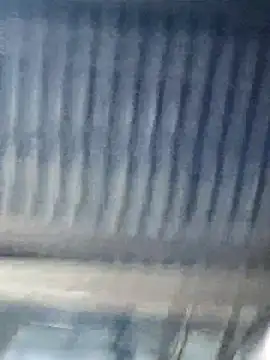 Snapshot of yelow-bee chatting on 11/30/25, 01:37 yelow-bee online show from 11/30/25, 01:37