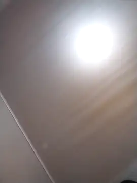 Tayanehot online show from 04/08/26, 10:26