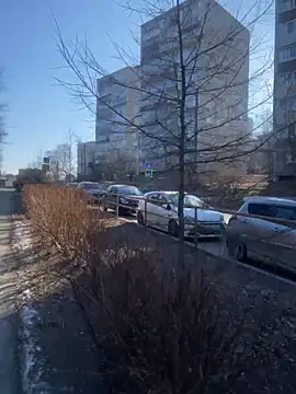 Dona Mafia online show from 12/22/25, 01:57