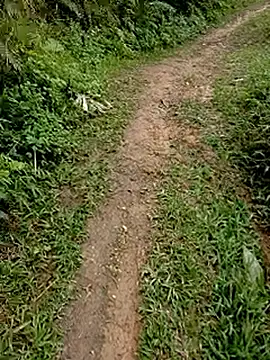 Cloud-wh online show from 02/24/26, 03:37