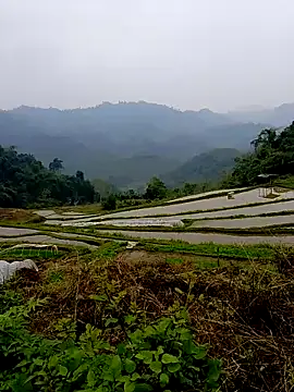 Cloud-wh online show from 03/14/26, 02:39