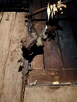 -Chua-90 online show from 02/09/26, 11:36