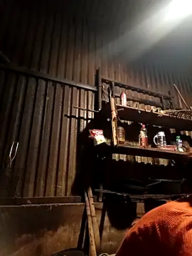 -Chua-90 online show from 02/09/26, 11:42