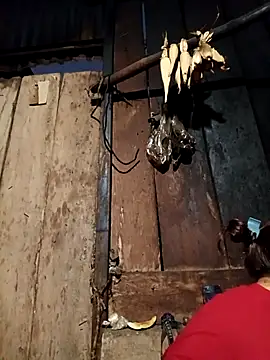 -Chua-90 online show from 02/19/26, 11:12