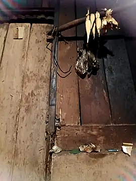 -Chua-90 online show from 02/26/26, 10:53