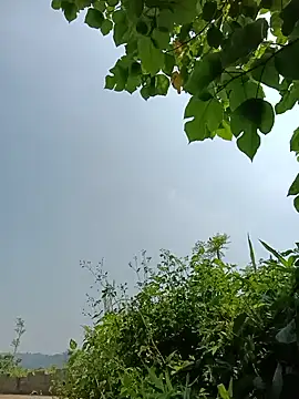 vangkt-cute online show from 05/16/26, 12:29