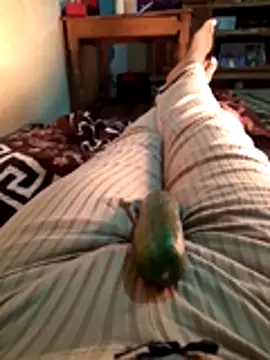 Tota sexi online show from 11/28/25, 10:51