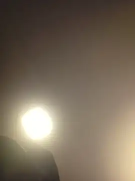 piggylatino online show from 03/19/26, 10:19