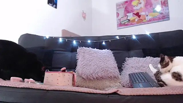 valery carter01 online show from 02/17/26, 06:36