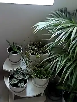 Rouse hot  online show from 01/10/26, 06:09