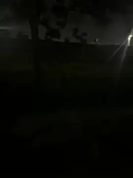 black-1406 online show from 03/31/26, 03:34