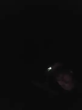 Redheadstud online show from 07/02/26, 02:55