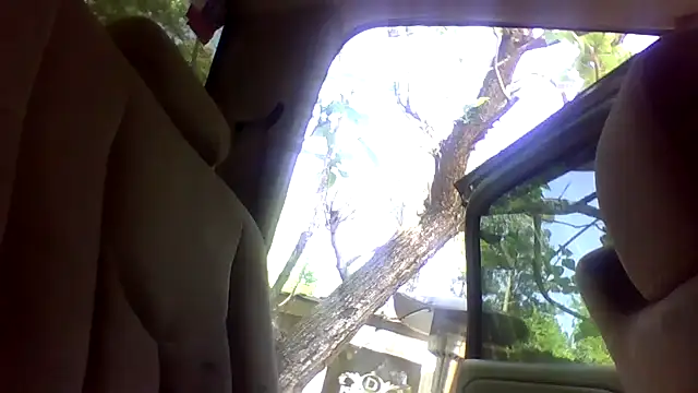 dickencidr online show from 04/15/26, 06:48