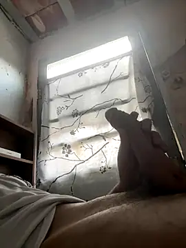 24 c online show from 12/02/25, 11:04