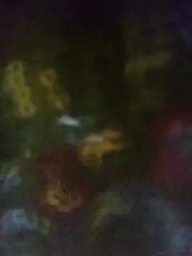 Disha Nur0 online show from 03/13/26, 09:32