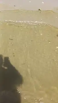 Snapshot of Lukemo chatting on 04/13/26, 09:48 Lukemo online show from 04/13/26, 09:48