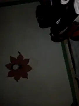 honeypot224 online show from 03/15/26, 03:56