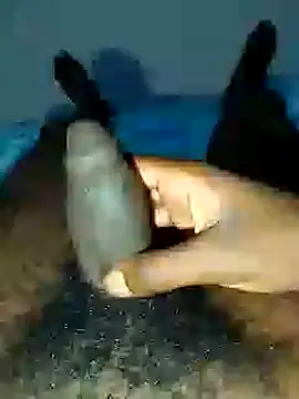 dicksosmall online show from 11/21/25, 07:12