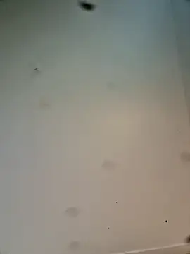 Hardwarelane67 online show from 03/23/26, 12:09