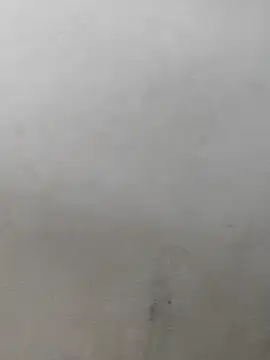 fpic online show from 02/07/26, 04:22