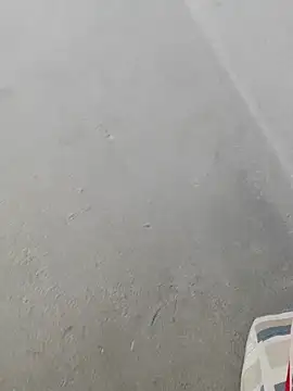 fpic online show from 02/09/26, 04:44