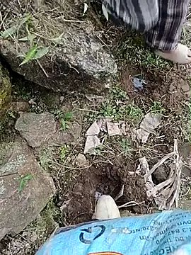 Pampirara online show from 03/21/26, 03:11