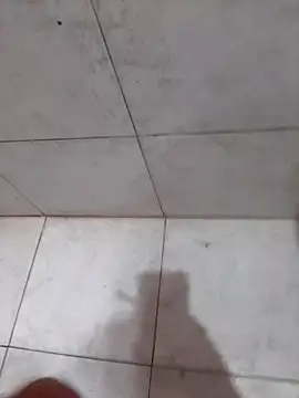 Snapshot of Parejahot534 chatting on 04/16/26, 06:19 Parejahot534 online show from 04/16/26, 06:19