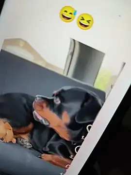 Sainicpl online show from 12/05/25, 01:42