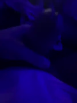 darknebula80 online show from 02/25/26, 12:31