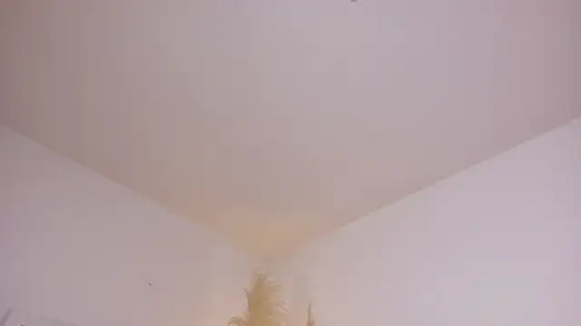 am berr online show from 12/13/25, 07:53