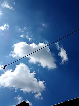 Eezxxx online show from 12/17/25, 07:14