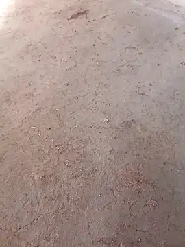 Nandani-758 online show from 12/02/25, 10:09