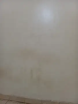 Snapshot of AnastiaBushlah chatting on 03/02/26, 05:19 AnastiaBushlah online show from 03/02/26, 05:19