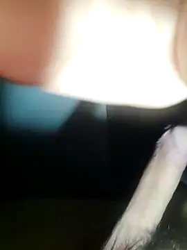 Snapshot of dieterrpuebl chatting on 12/22/25, 09:06 dieterrpuebl online show from 12/22/25, 09:06