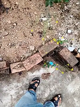 apka rockstarr online show from 01/08/26, 06:37