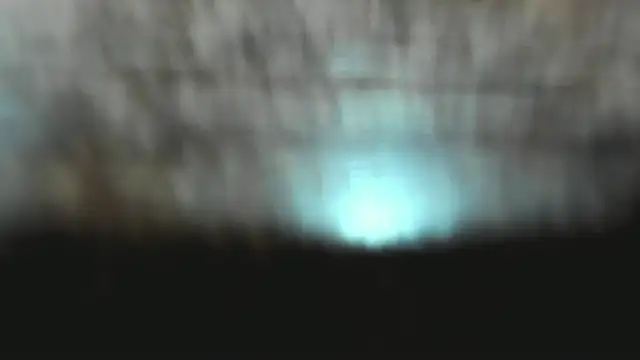 Izelevans online show from 01/15/26, 12:43