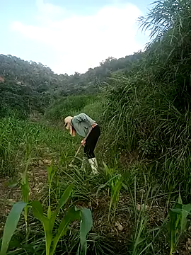 nangmo online show from 05/17/26, 10:44