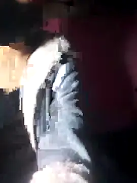 beba1100 online show from 11/30/25, 04:11