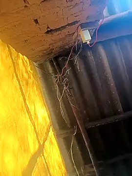 Babita Gori online show from 12/19/25, 05:58