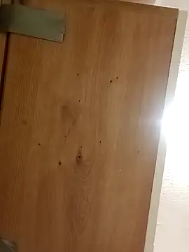 Snapshot of BushedScreed chatting on 04/15/26, 09:26 BushedScreed online show from 04/15/26, 09:26